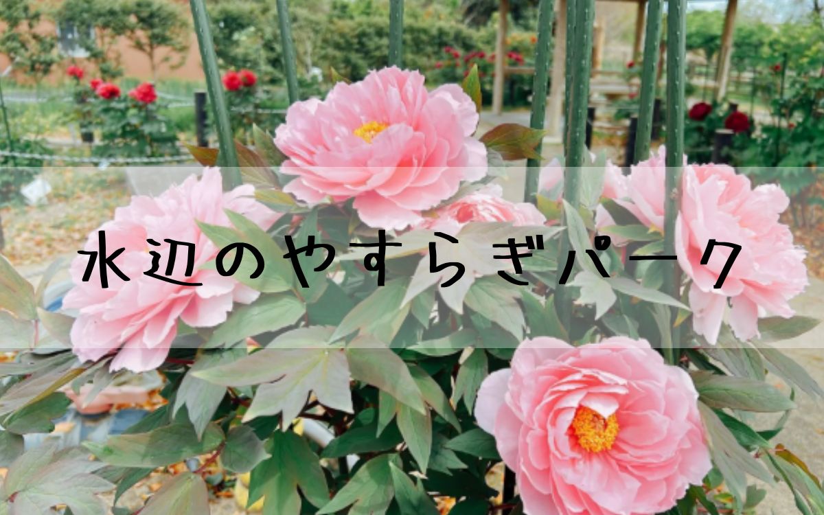 水辺のやすらぎパーク