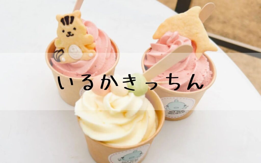 いるかきっちん