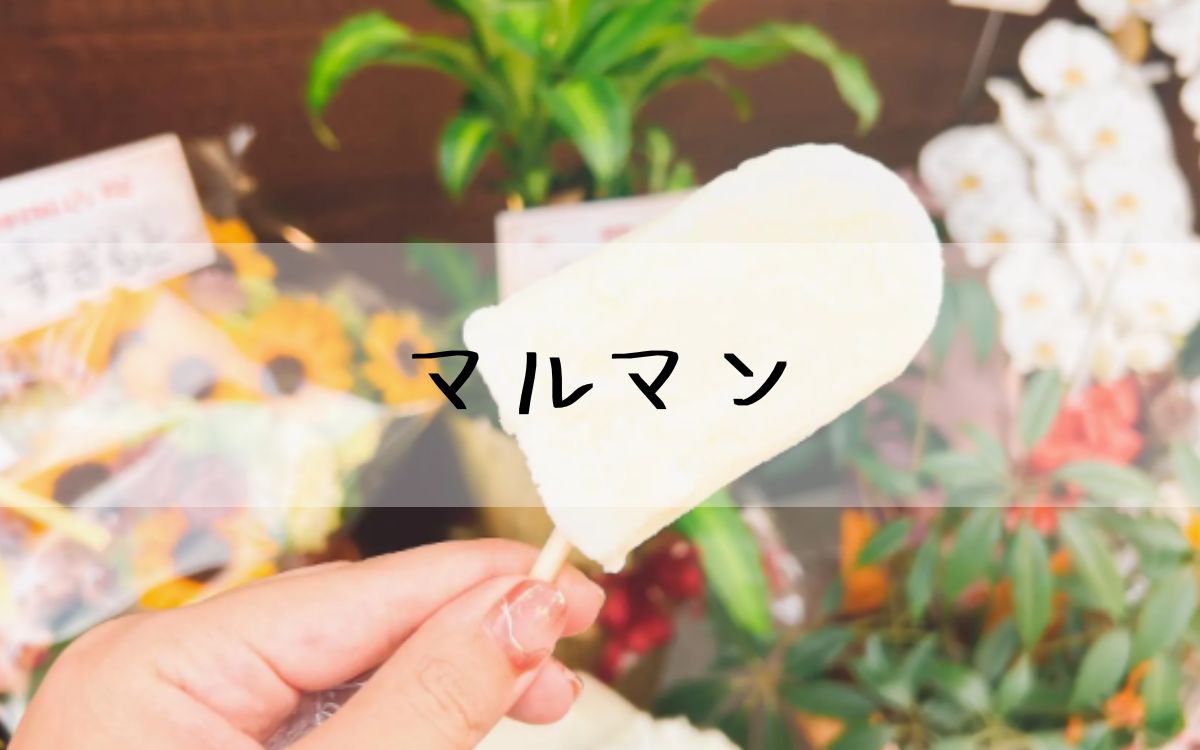 マルマン
