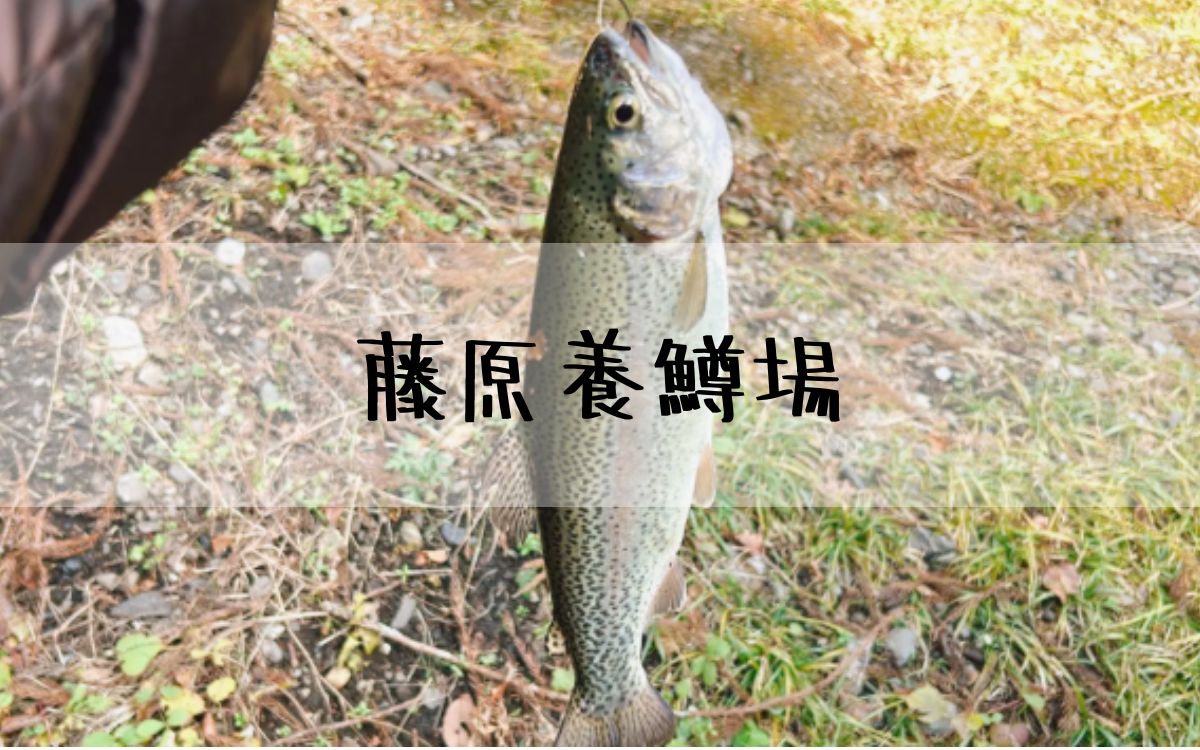 藤原養鱒場