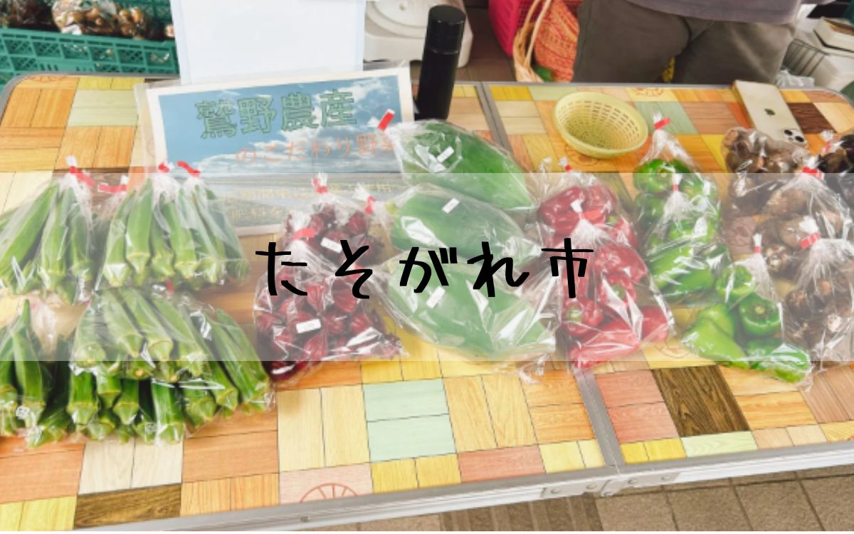 たそがれ市