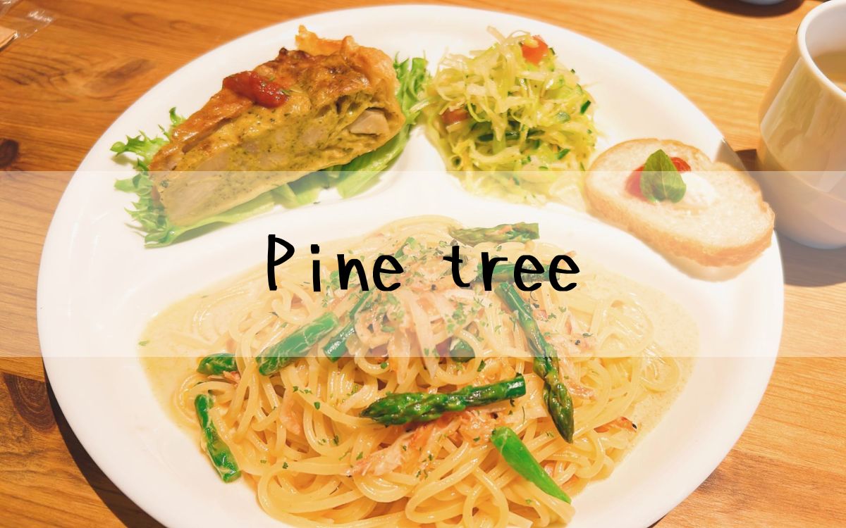 Pine tree