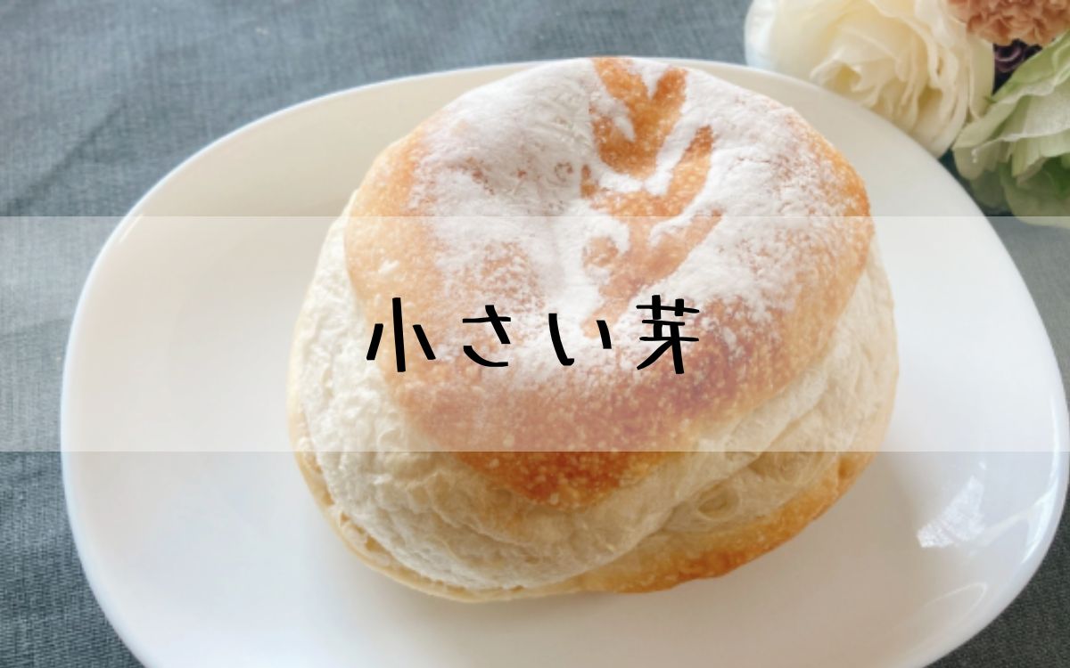 小さい芽