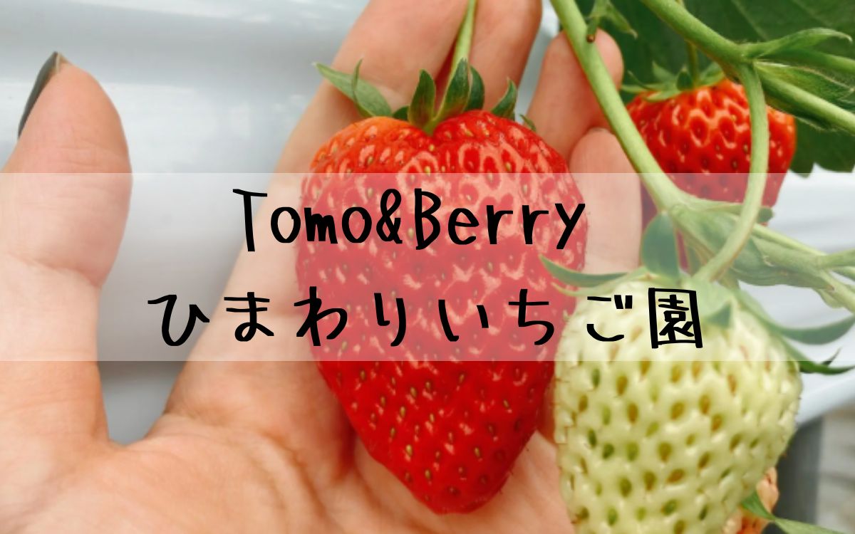 Tomo&Berry ひまわりいちご園