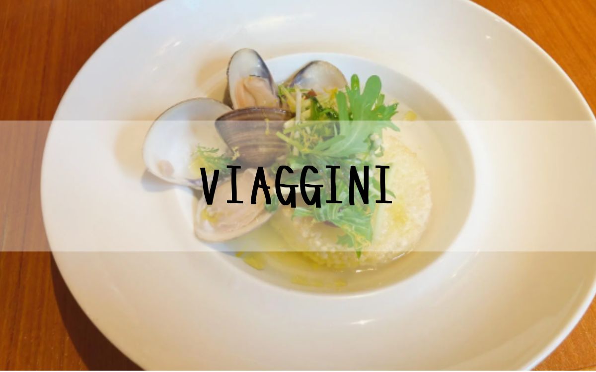 VIAGGINI