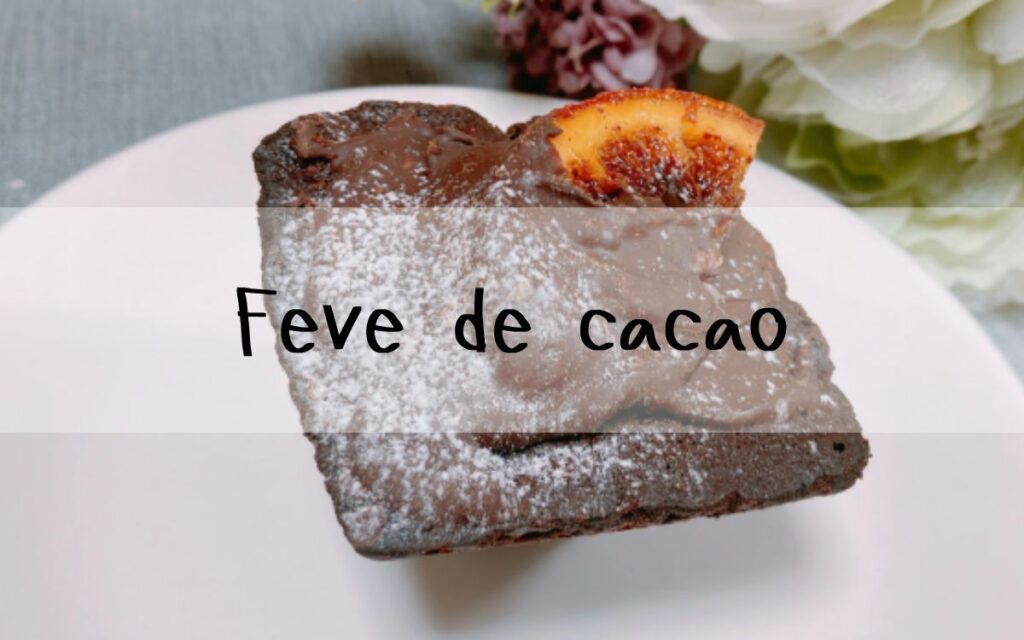 Feve de cacao