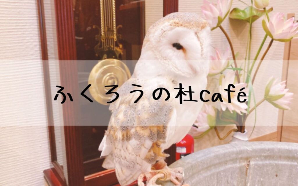 ふくろうの杜café