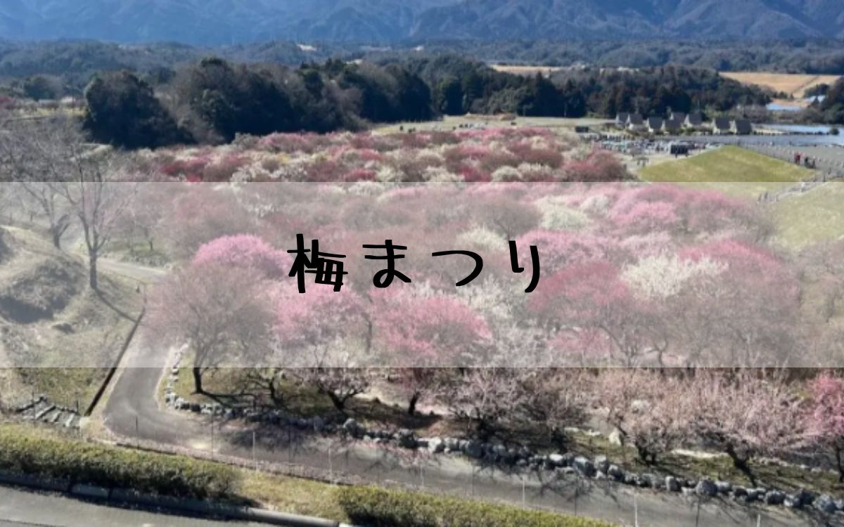 梅まつり