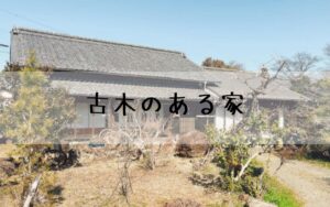 古木のある家