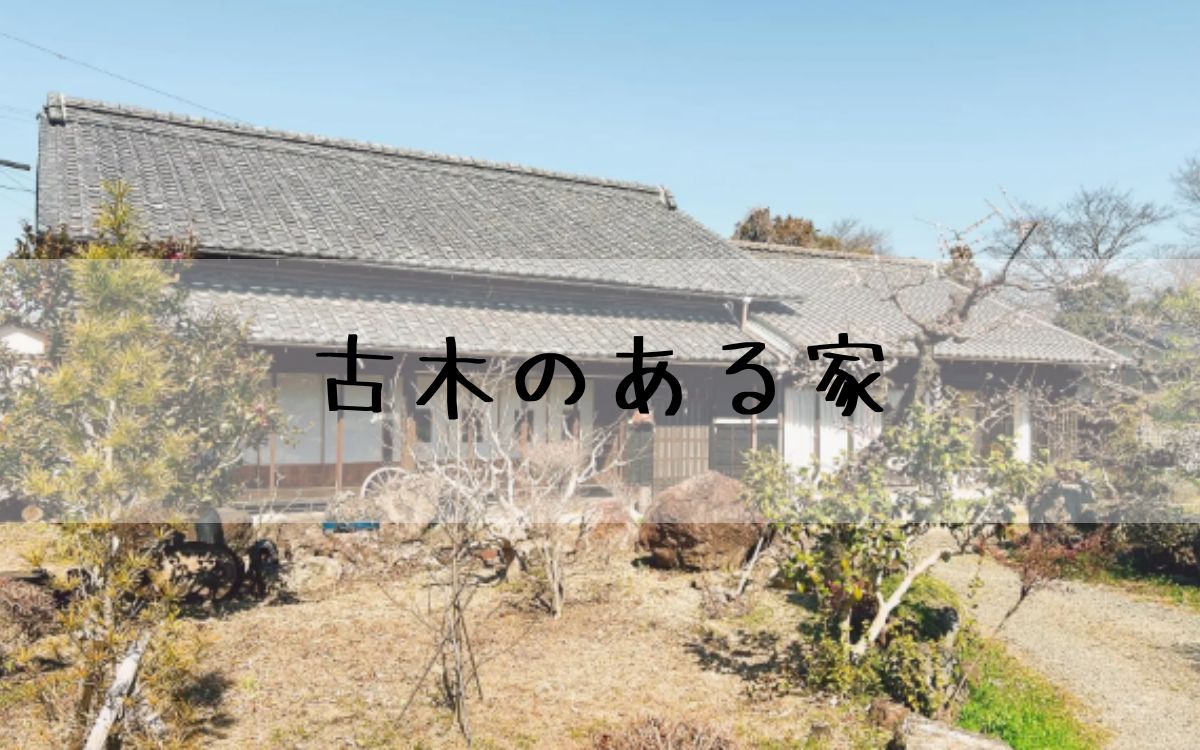 古木のある家