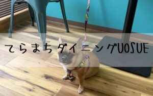 てらまちダイニングUOSUE